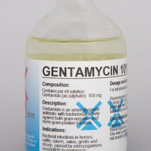 GENTAMYCIN 10%