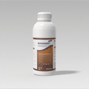 BYKODIGEST