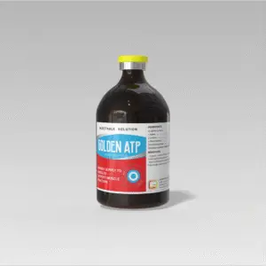 GOLDEN ATP