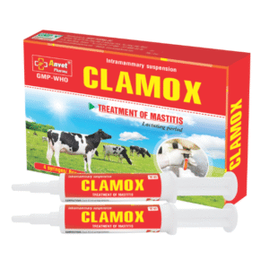 CLAMOX