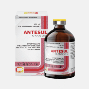 ANTESUL