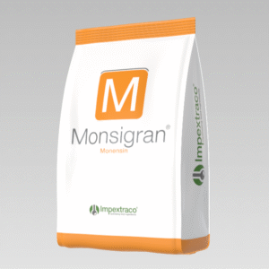 MONSIGRAN