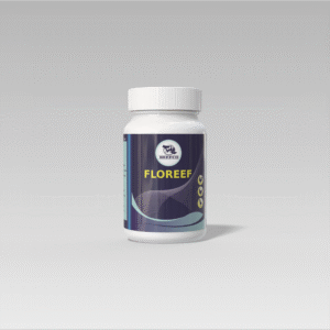 FLOREEF
